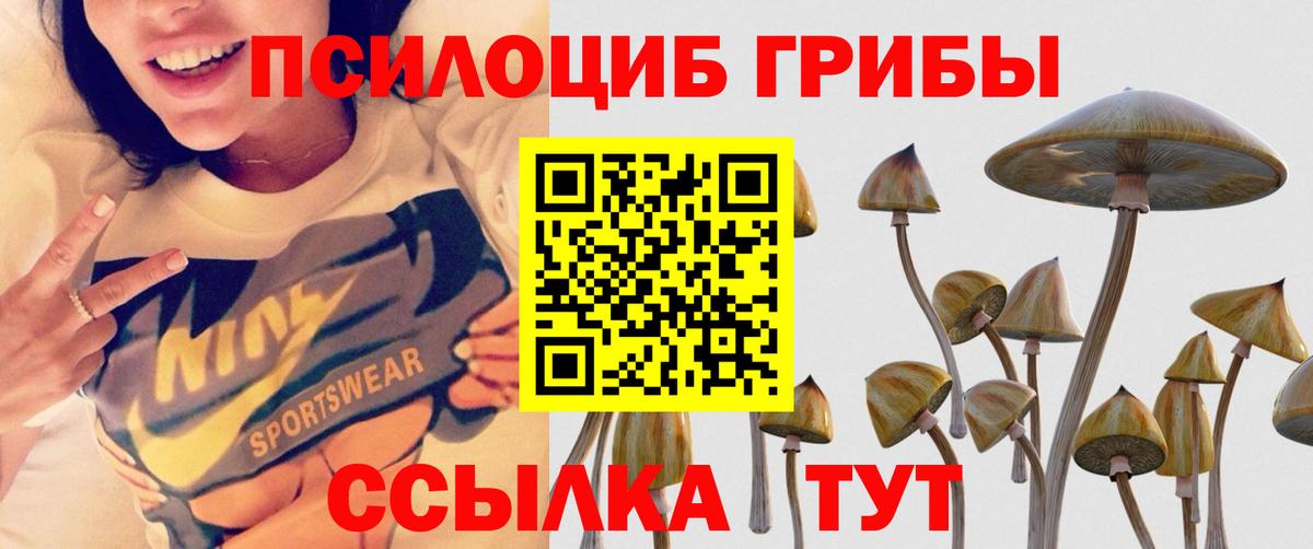 Галлюциногенные грибы Magic Shrooms  Вход с VPN  Белореченск  Псилоцибиновые грибы Psilocybine cubensis 